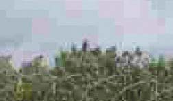 ��� � ����, ��� � �� �������� ������������ ���������, ������ �������.