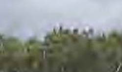 ����������� ��� ��������, ��� � ���� ����� ������ �������, ������ ������� ����� �� �����.