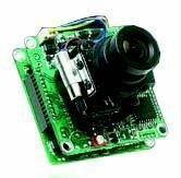 ���������� Pecan CB60-TDN